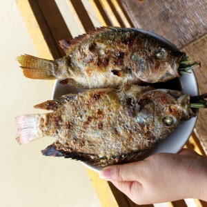 Xayyaseng Fish Pond Restaurant