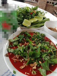 Duck blood pudding Lao style (Leuad Peng Ped)