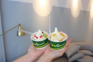 YoQueen Australian frozen Yogurt